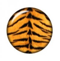 Snap button Tiger Print