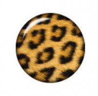 Snap button Leopard Print