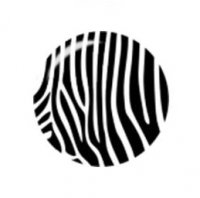 Snap button Zebra Print