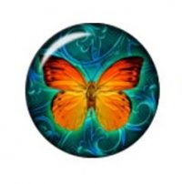 Snap button Butterfly 4