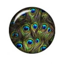 Snap button Peacock