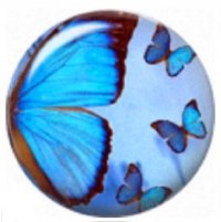 Snap button Butterfly 2