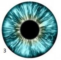 Snap button Eye Iris