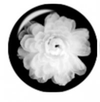 Snap button White Flower